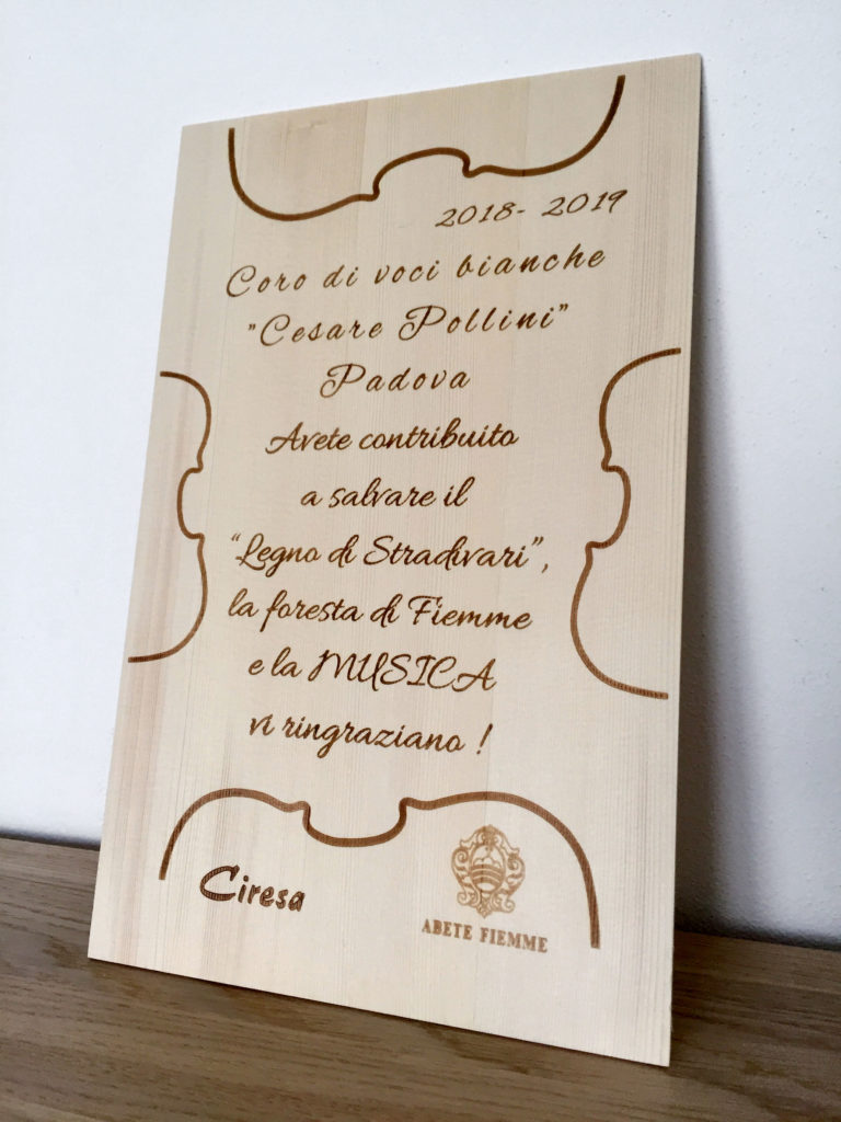 Con la vendita di alcuni nostri CD abbiamo contribuito al recupero di abeti pregiati.